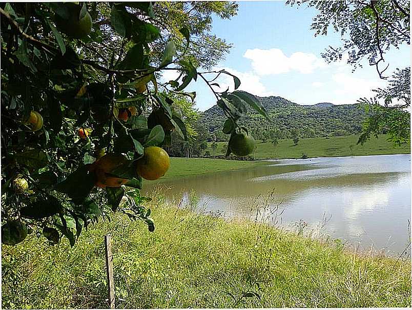 IMAGENS DA CIDADE DE FAXINAL DO SOTURNO - RS FOTO PREFEITURA MUNICIPAL - FAXINAL DO SOTURNO - RS
