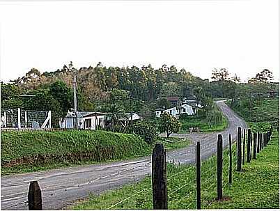 ESTRADA-FOTO:FELIPEMLOPES  - FAZENDA FIALHO - RS