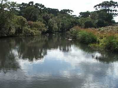 LAGO-FOTO:JAKZA  - FAZENDA SOUZA - RS