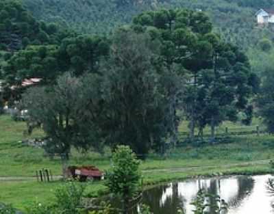 PAISAGEM RURAL-FOTO:JAKZA  - FAZENDA SOUZA - RS