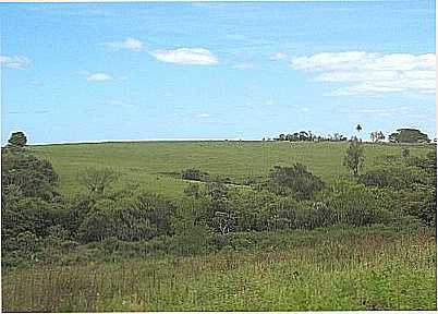 PAISAGEM RURAL-FOTO:MRCIO SILVA DO AMAR - FAZENDA VILANOVA - RS