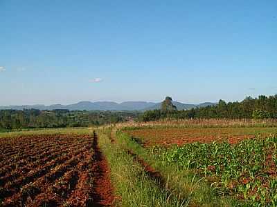 LAVOURA-FOTO:CLUDIA F. BILDHAUER - FAZENDA VILANOVA - RS