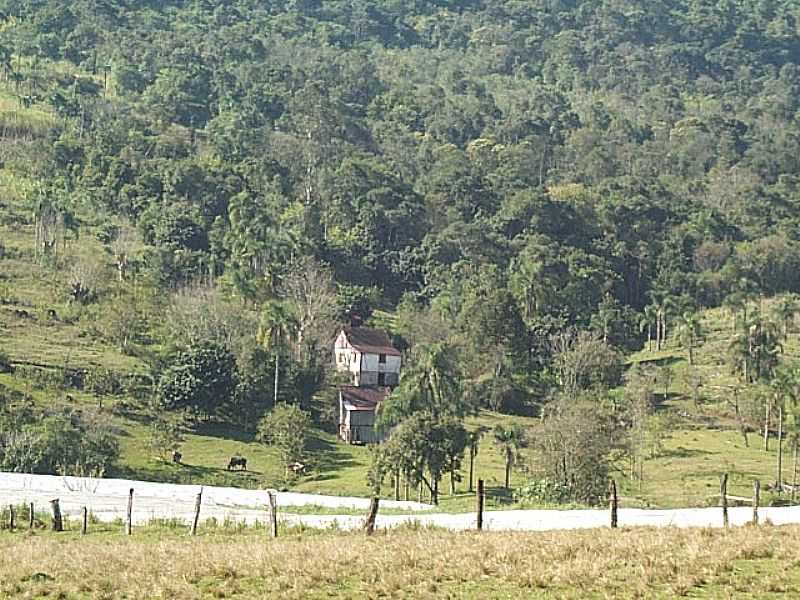 FELIZ-RS-REA RURAL DA LOCALIDADE DE VALE DO LOBO-FOTO:WWW.TERRAGAUCHA.COM.BR  - FELIZ - RS