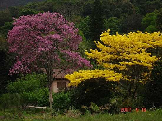 FELIZ-RS-BELEZAS DA PRIMAVERA-FOTO:FRITZ FOLLMER - FELIZ - RS