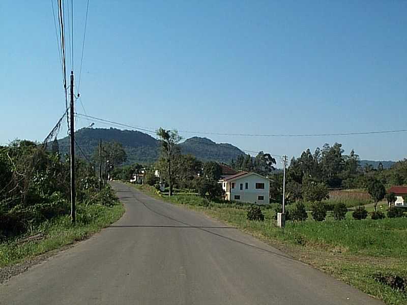 FELIZ-RS-LOCALIDADE DE ESCADINHAS-FOTO:WWW.TERRACAMS.COM.BR - FELIZ - RS