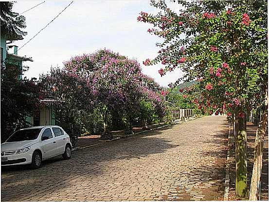 FELIZ-RS-MUITAS FLORES NAS RUAS DA CIDADE-FOTO:RENE HASS - FELIZ - RS