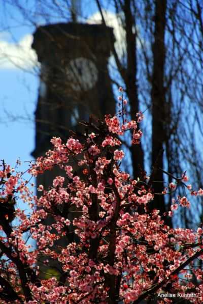 TORRE DA IGREJA, FLORES DA CUNHA-RS, , POR ANELISE  KUNRATH - FLORES DA CUNHA - RS