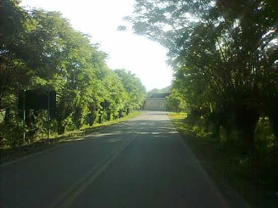 ESTRADA EM FORMOSA-RS-FOTO:RATTOXODO - FORMOSA - RS