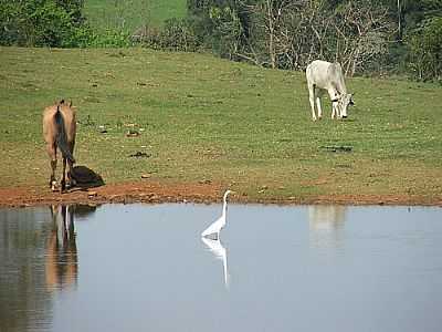 NATUREZA-LUIZ CARLOS SANTOS - FREDERICO WESTPHALEN - RS