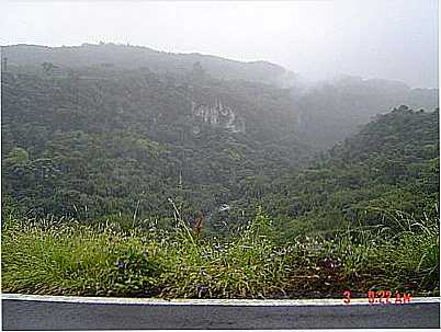 PAISAGEM COM NEBLINA-POR ELTONSTRADA - GARIBALDI - RS