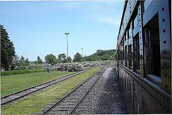 VELHOS TEMPOS...TREM EM GARIBALDI-RS-FOTO:ROMO - GARIBALDI - RS