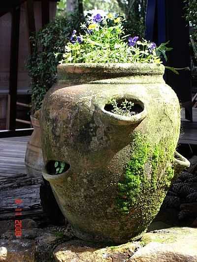 VASO NA CALADA-FOTO:REVERENDO_POA  - GRAMADO - RS