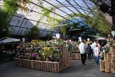 EXPOSIO DE ORQUDEAS-FOTO:ANELISE KUNRATH  - GRAMADO - RS