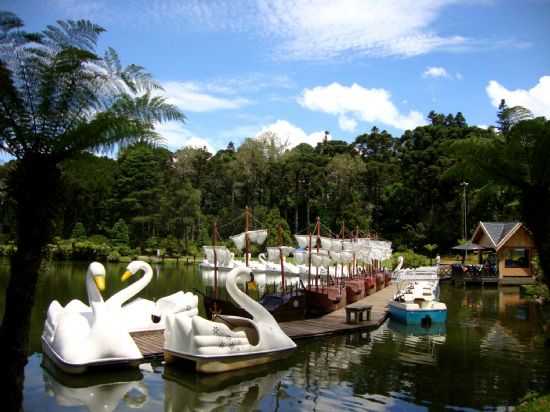 LAGO NEGRO, POR SANDRA AQUINO  - GRAMADO - RS