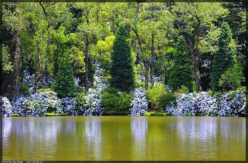 GRAMADO-RS-REFLEXO DAS HORTNSIAS NO LAGO NEGRO-FOTO:SUNRISER - GRAMADO - RS