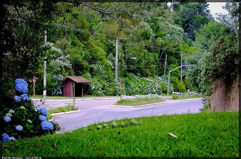 GRAMADO-RS-RODOVIA RS-235-FOTO:SUNRISER - GRAMADO - RS