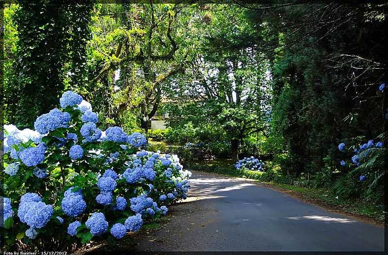 GRAMADO-RS-TRILHA DE CAMINHADA-FOTO:SUNRISER - GRAMADO - RS