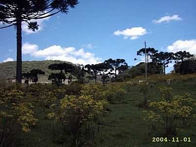 PAISAGEM-FOTO:ANDERSON SOPELSA - GRAMADO XAVIER - RS