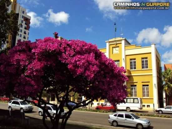 AZALIAS NA PRAA, POR CAMINHOS DE GUAPOR - GUAPOR - RS