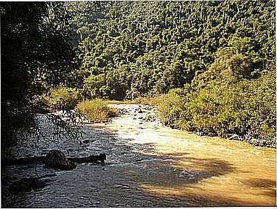 RIO CARREIRO-FOTO:GILBERTO LUIS DAL MAS - GUAPOR - RS
