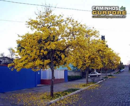 ESPETCULO DOS IPS NAS RUAS DE GUAPOR, POR CAMINHOS DE GUAPOR - GUAPOR - RS