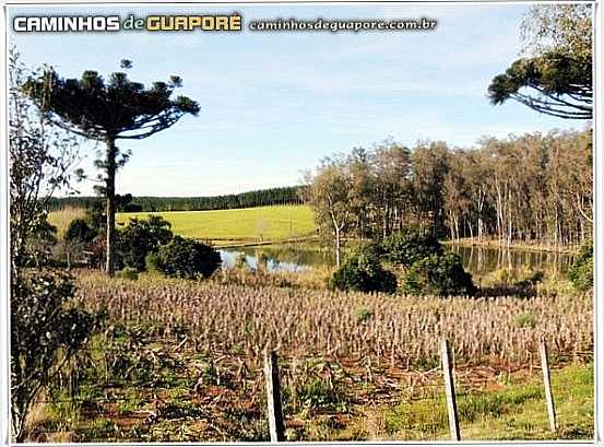 INTERIOR DE GUAPOR, POR CAMINHOS DE GUAPOR., POR GILBERTO DAL MAS - GUAPOR - RS