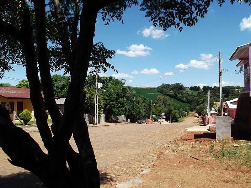 IBIRAPUIT-RS-RUA DA CIDADE-FOTO:FREDY SILVA - IBIRAPUIT - RS