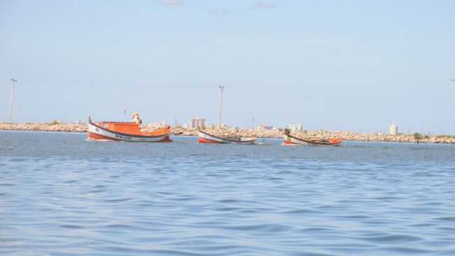 ILHA DOS MARINHEIROS, POR WILTON ALVES - ILHA DOS MARINHEIROS - RS