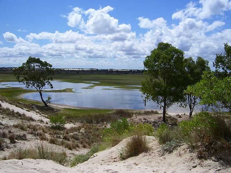 ILHA DOS MARINHEIROS-RS-LAGUNA DOS PATOS-FOTO:ROQUE OLIVEIRA - ILHA DOS MARINHEIROS - RS