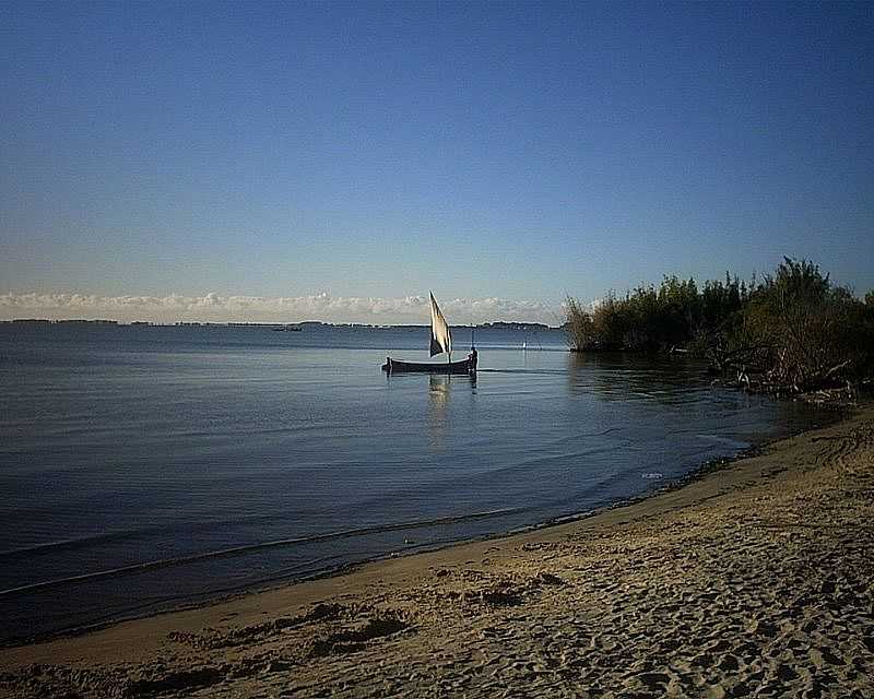 ILHA DOS MARINHEIROS-RS-MARGEM DA LAGOA DOS PATOS NA ILHA-FOTO:UBIRAJARA CRUZ - ILHA DOS MARINHEIROS - RS