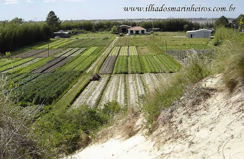 IMAGENS DE ILHA DOS MARINHEIROS - RS - ILHA DOS MARINHEIROS - RS