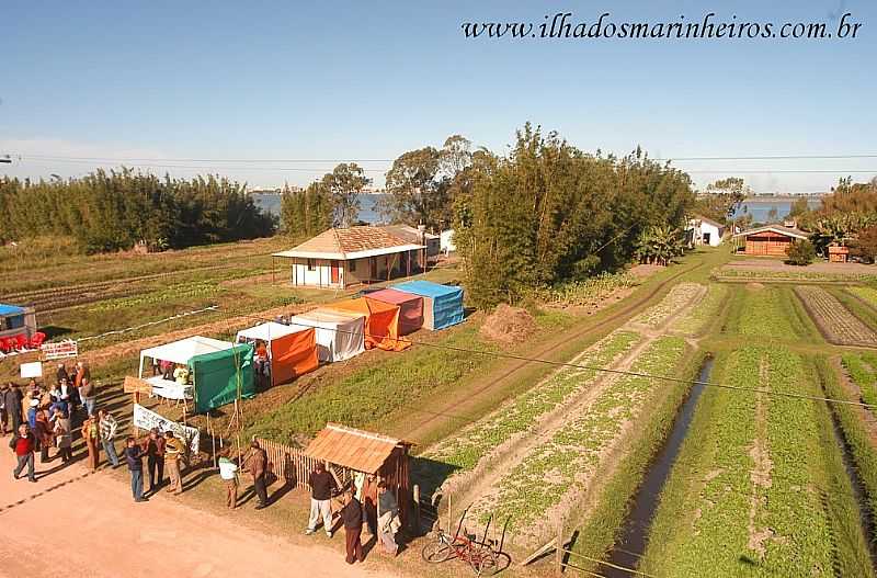 IMAGENS DE ILHA DOS MARINHEIROS - RS - ILHA DOS MARINHEIROS - RS