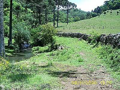 IMAGEM RURAL-DARLAN CORRAL - ILPOLIS - RS