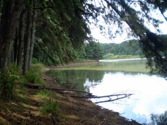 LAGO VERDE-FOTO:MARIA DE LOURDES BARATTO DO PRADO - MALU - ILPOLIS - RS