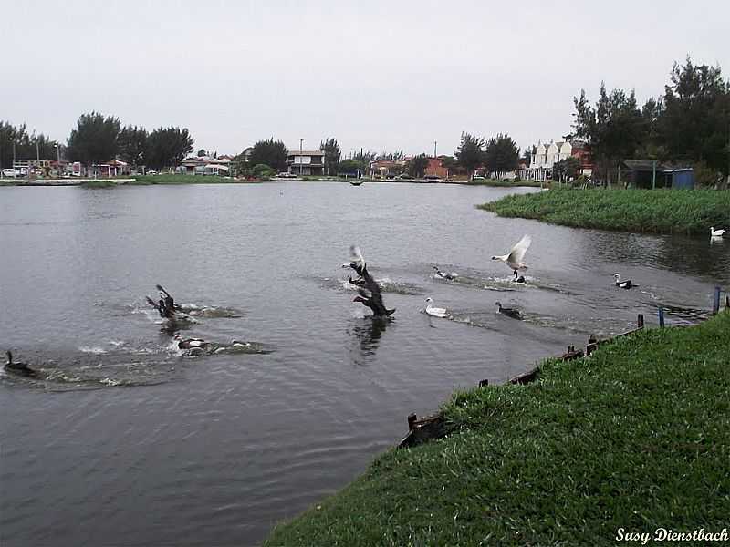 IMB-RS-AVES NO LAGO