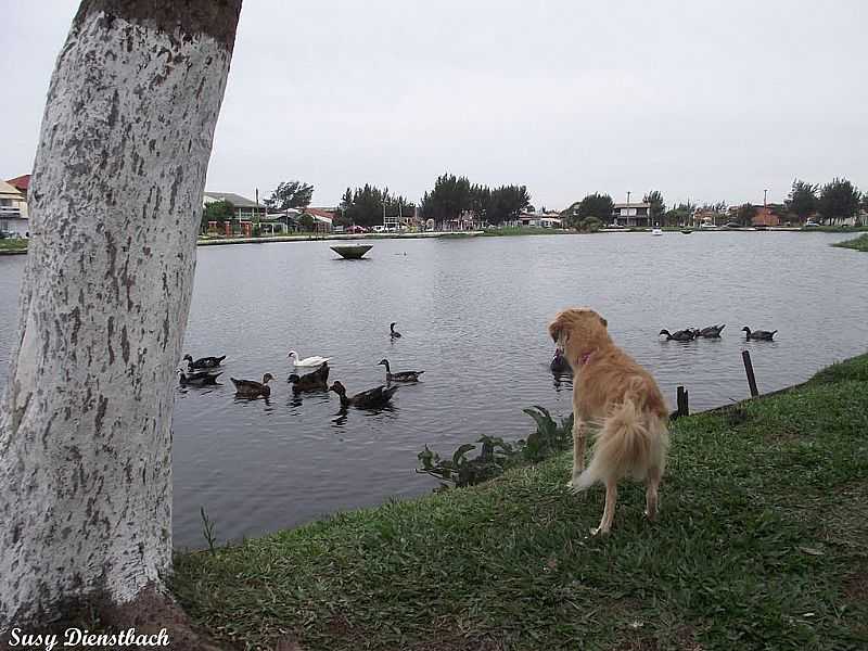 IMB-RS-BELA IMAGEM DO LAGO