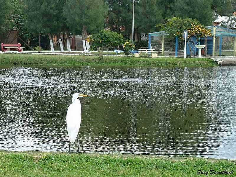 IMB-RS-GARA NO LAGO