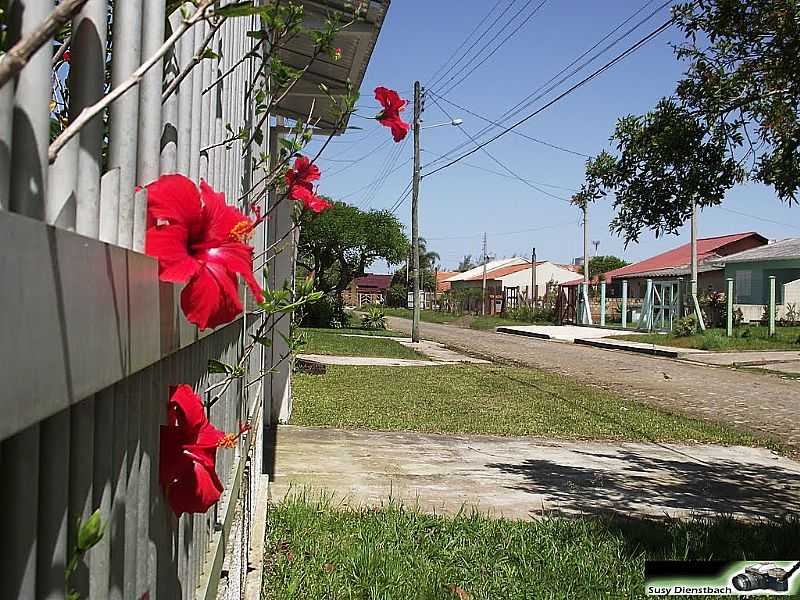 IMB-RS-RUA DA CIDADE-FOTO:SUSY DIENSTBACH - IMB - RS