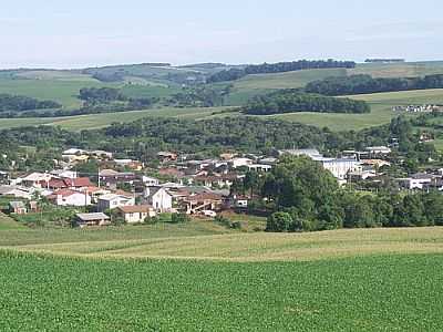 VISTA PARCIAL-FOTO:RONEI - IPIRANGA DO SUL - RS