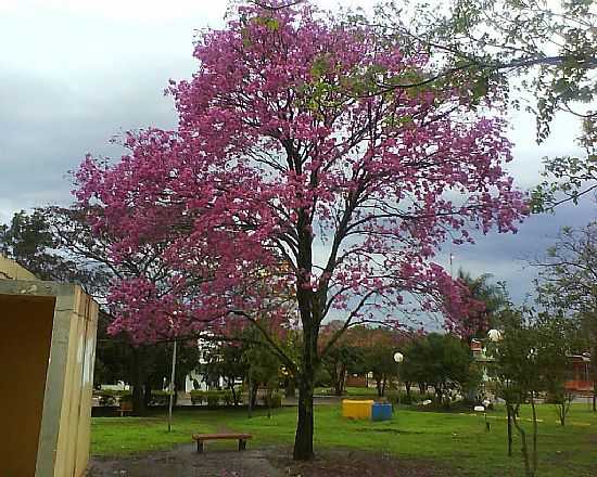 ITACURUB-RS-PRAA MUNICIPAL MANOEL DOS SANTOS ROCHA-FOTO:JULIUS_PATRICIUS  - ITACURUBI - RS