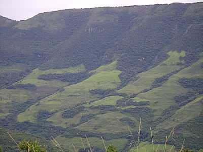 SERRA DO MAR-ZALUAR DAL POZZO - ITATI - RS