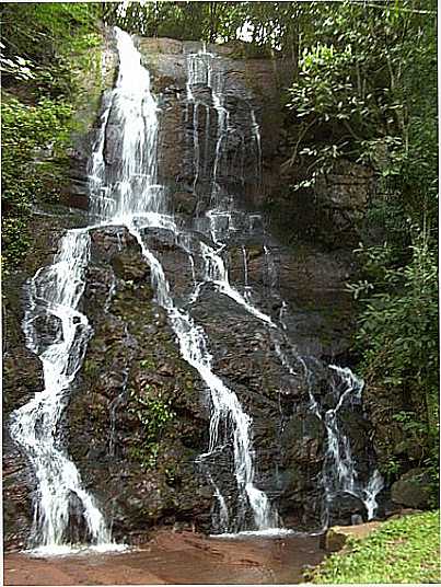 CACHOEIRA-GRUTA TRENTIN-POR JOEL TRENTIN - JABOTICABA - RS