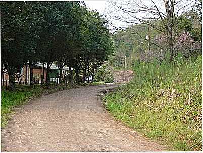 IMAGEM RURAL-FOTO:CARLOS MICHELIM  - JACUTINGA - RS