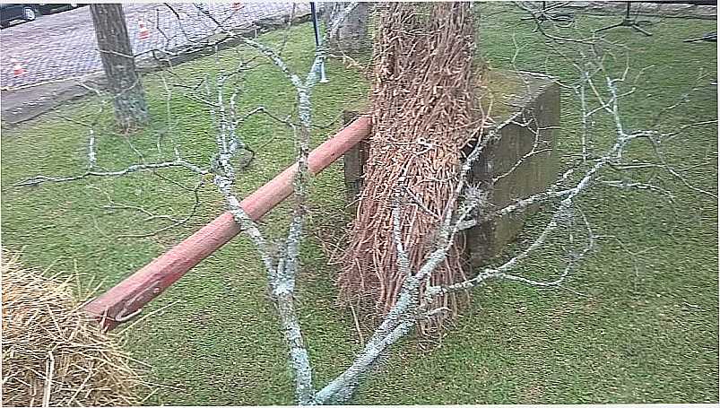 IMAGENS DO DISTRITO DE LAJEADO BONITO, MUNICPIO DE COTIPOR/RS - LAJEADO BONITO - RS