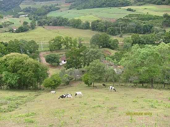 MORADA NO INTERIOR DE LIBERATO SALZANO (PANORAMIO) - LIBERATO SALZANO - RS