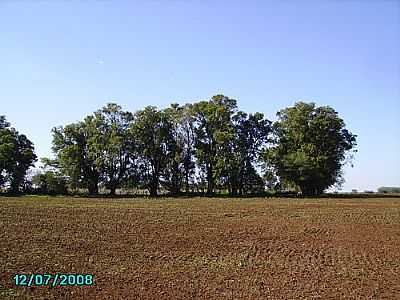 LAVOURA DE AVEIA POR LITZA RODRIGUES - MAAMBAR - RS