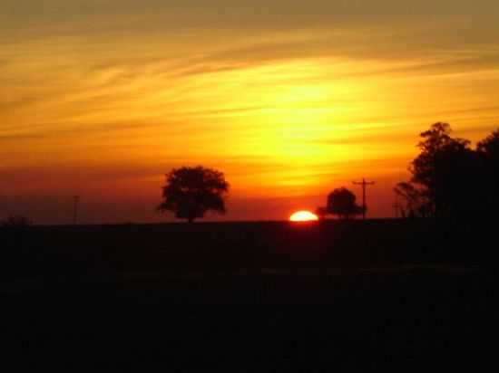 PR DO SOL NA RESERVA ECOLGICA DE SO DONATO EM MAAMBAR-RS-FOTO:MACAMBARA.RS. - MAAMBAR - RS