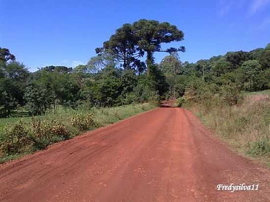 ESTRADA NA ZONA RURAL DE MARA-FOTO:FREDYSILVA11 - MARAU - RS