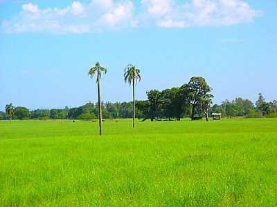 REA RURAL-FOTO:MRCIO SILVA DO AMAR  - MARIANTE - RS