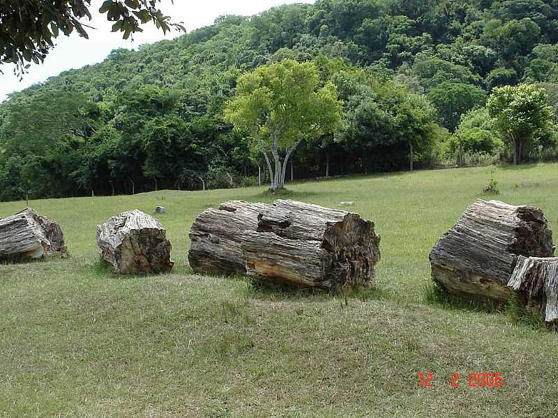 MATA-RS-SEGMENTOS DO TRONCO DE UMA RVORE PETRIFICADA-FOTO:MAURICIO BALLAROTTI - MATA - RS